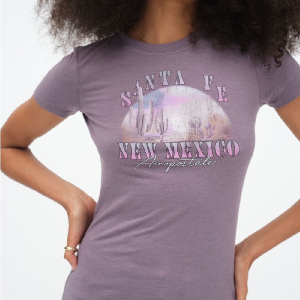 NWOT Purple Aeropostale “Classic Crew” Santa Fe Graphic T-shirt